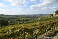 VBS_6348 - C'è un mare di velluto verde! E tu che sognavi di andare lontano... Quanta meraviglia, quì!